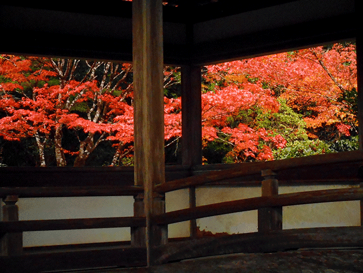 西明寺　紅葉