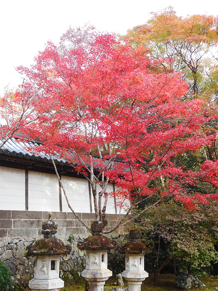 西明寺 表門