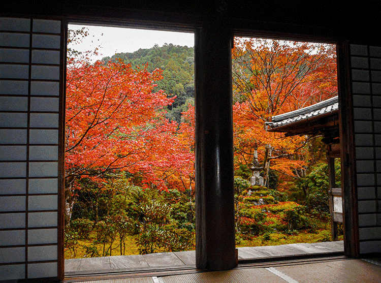 西明寺　紅葉