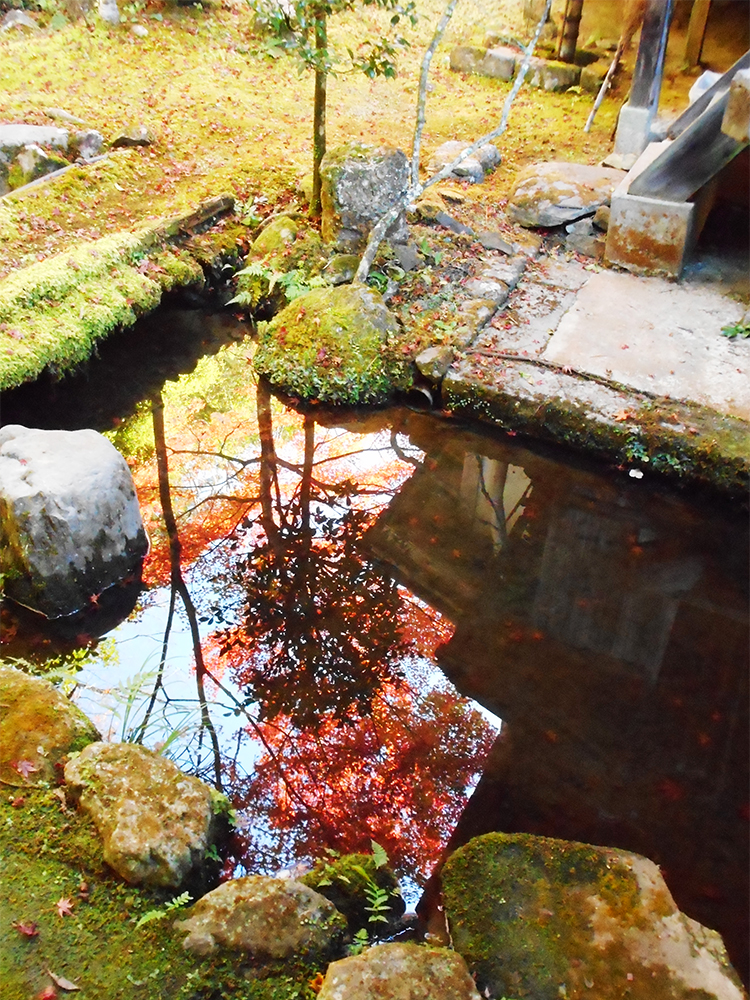 逆さ紅葉