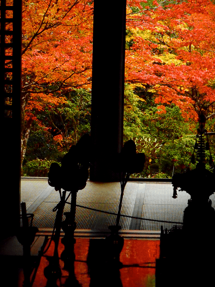 西明寺　紅葉