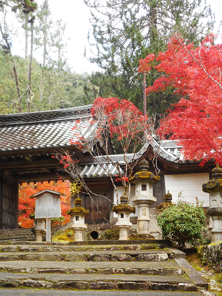 西明寺 表門