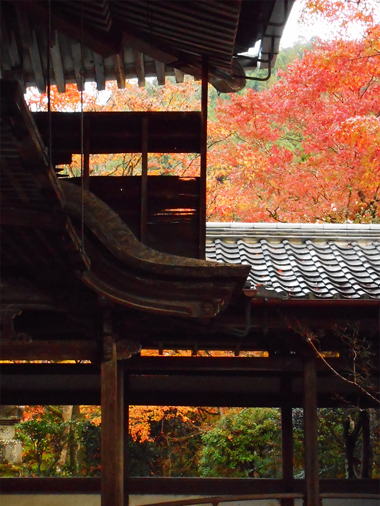 西明寺 渡り廊下