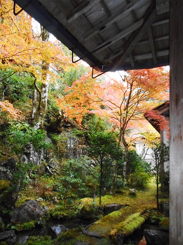 西明寺 裏庭