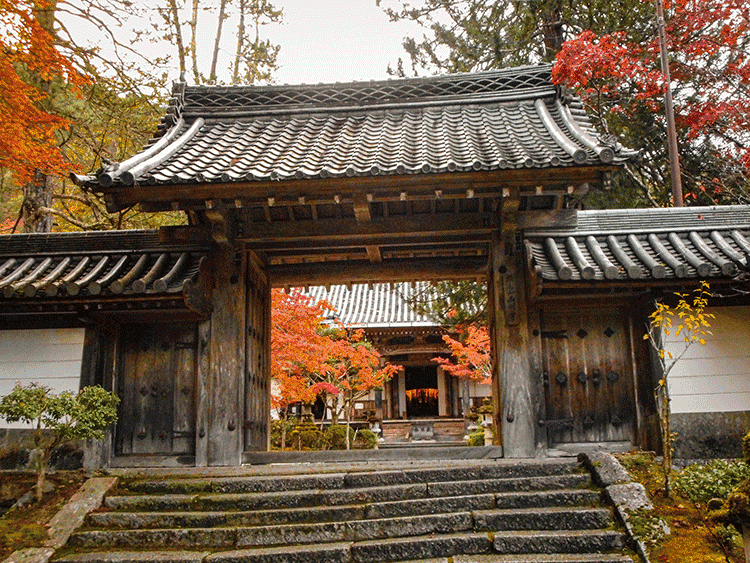 西明寺　紅葉